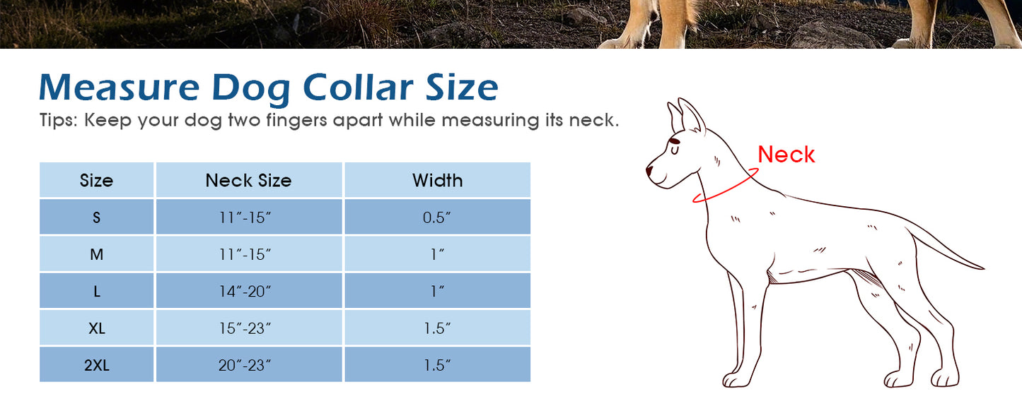Custom Name Dog Collar – Personalized Chew-Proof Nylon Collar with Metal Buckle