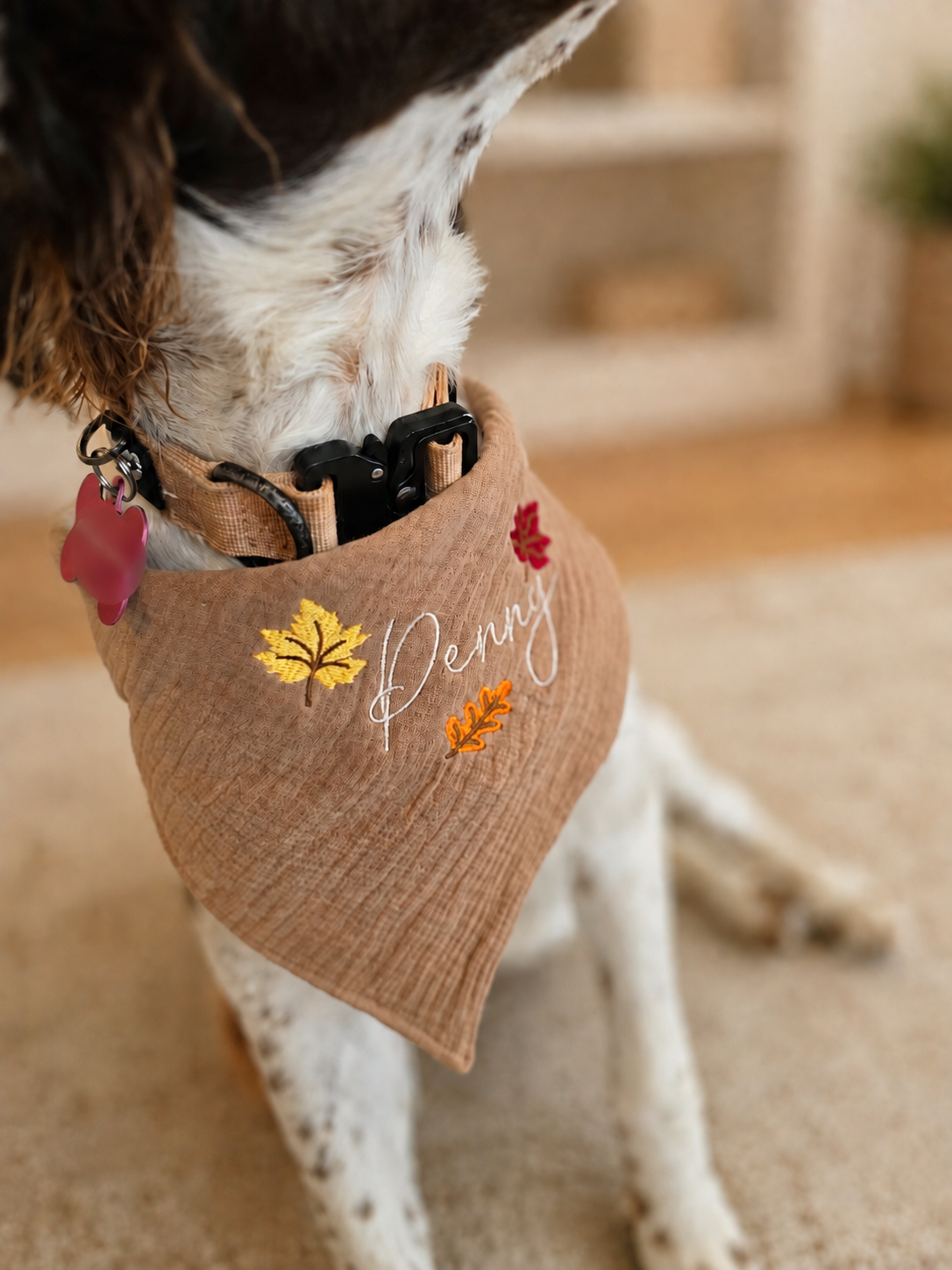Personalized Embroidered Dog Bandana, Fall Pumpkin, Leaf, Football - Adjustable Cotton Snap Bandana