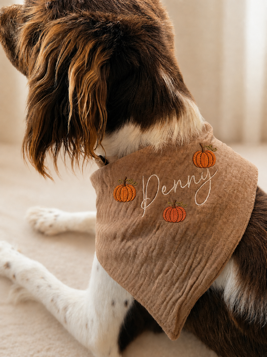 Personalized Embroidered Dog Bandana, Fall Pumpkin, Leaf, Football - Adjustable Cotton Snap Bandana